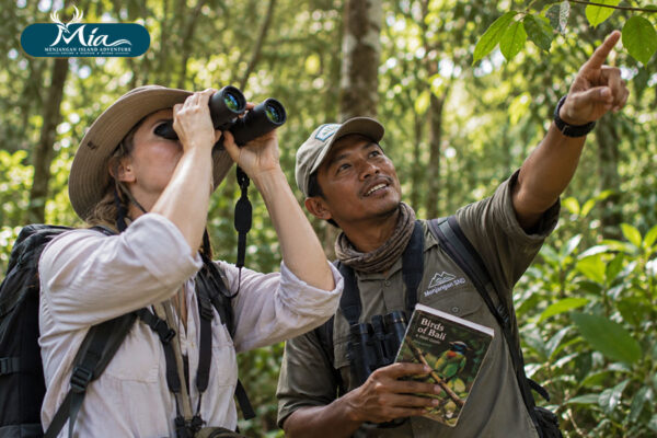 Bird-Watching-in-West-Bali