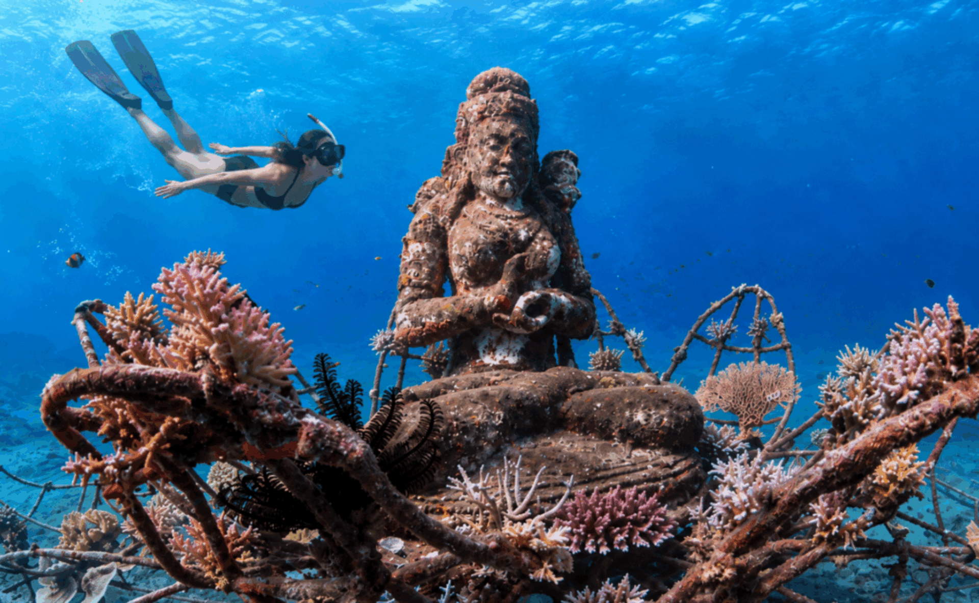 Dive-Pemuteran-Bali