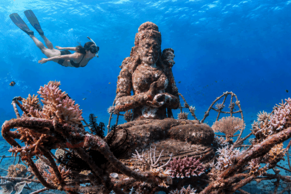 Dive-Pemuteran-Bali