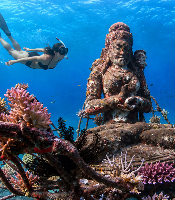 Dive Pemuteran Bali