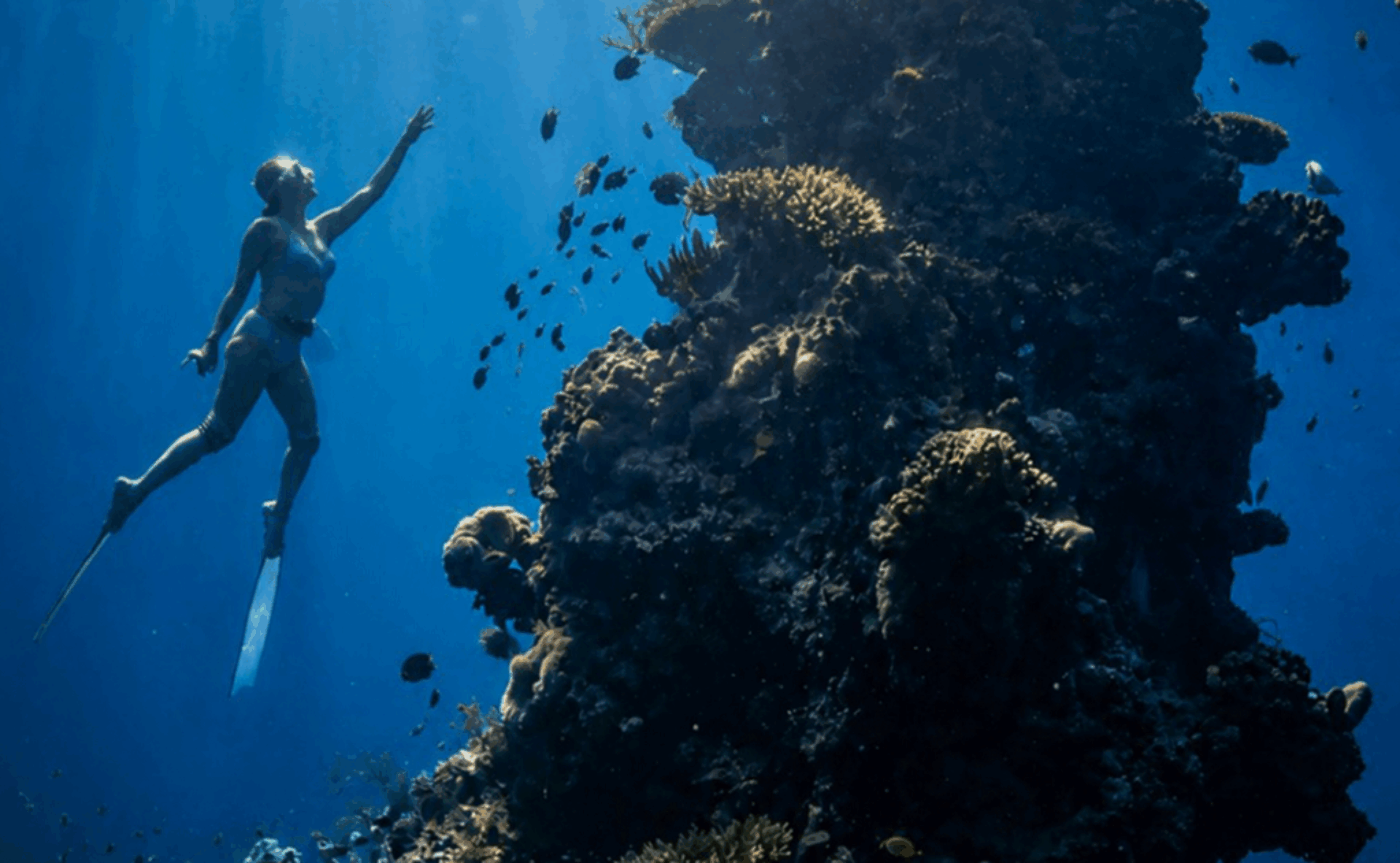 Freediving-Menjangan-Island