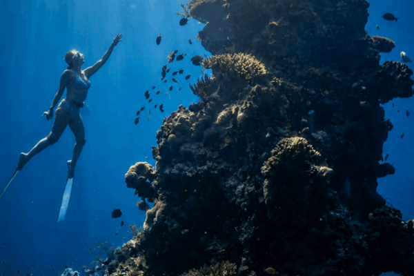 Freediving-Menjangan-Island