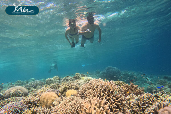 Is-Menjangan-Island-Good-for-Beginner-Snorkelers