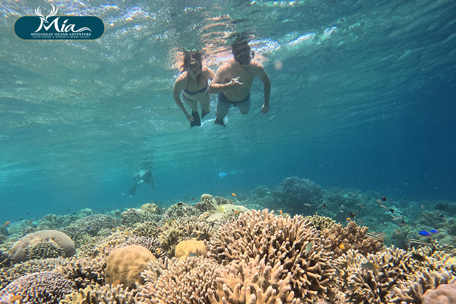 Is-Menjangan-Island-Good-for-Beginner-Snorkelers