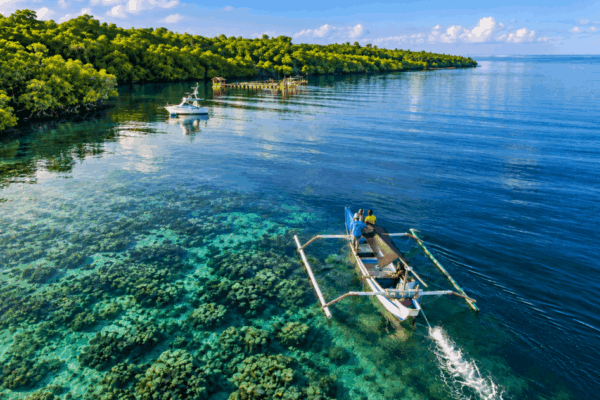 Mangrove-Tour-Banyuwedang