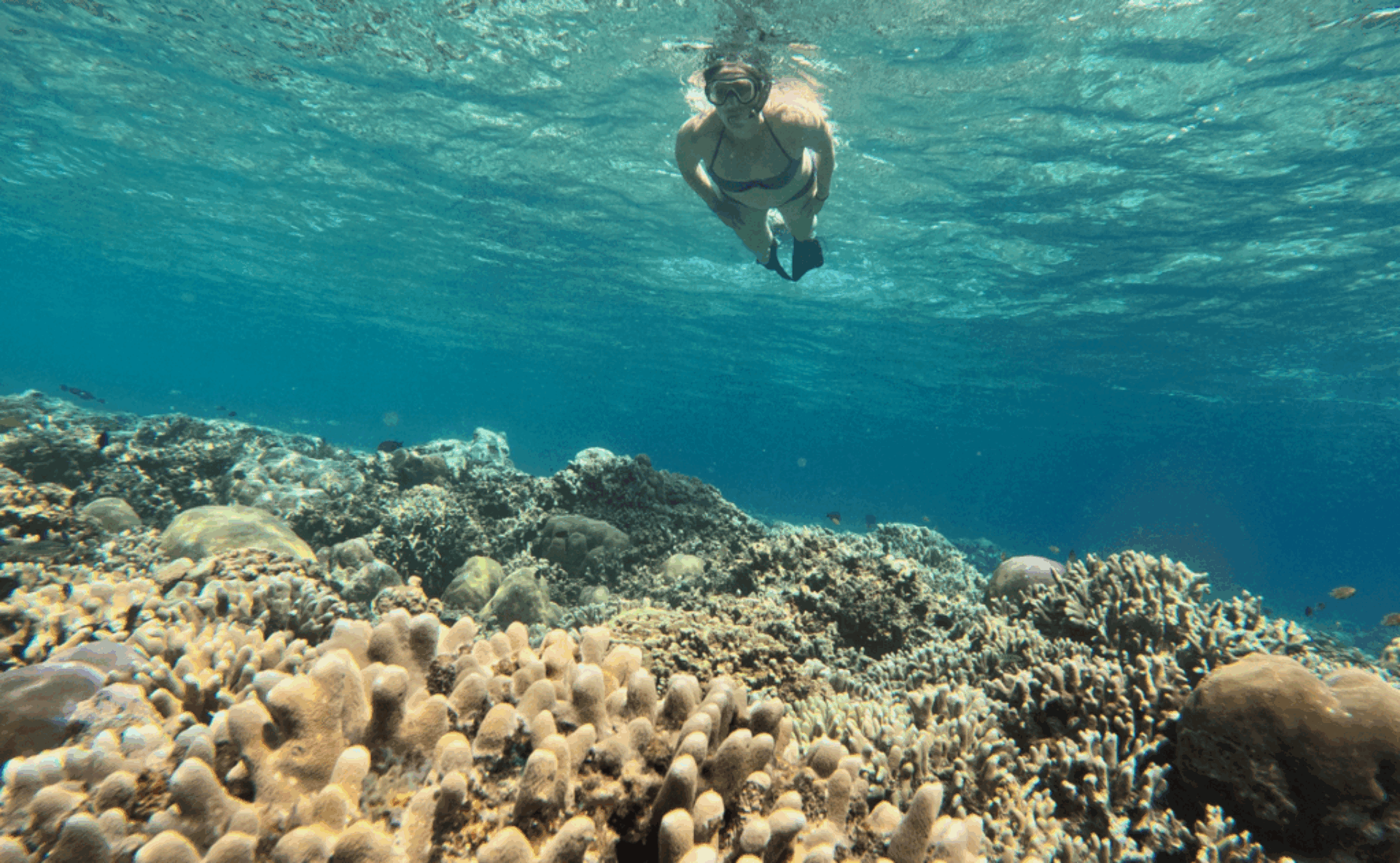 Snorkeling-Blue-Lagoon-Bali