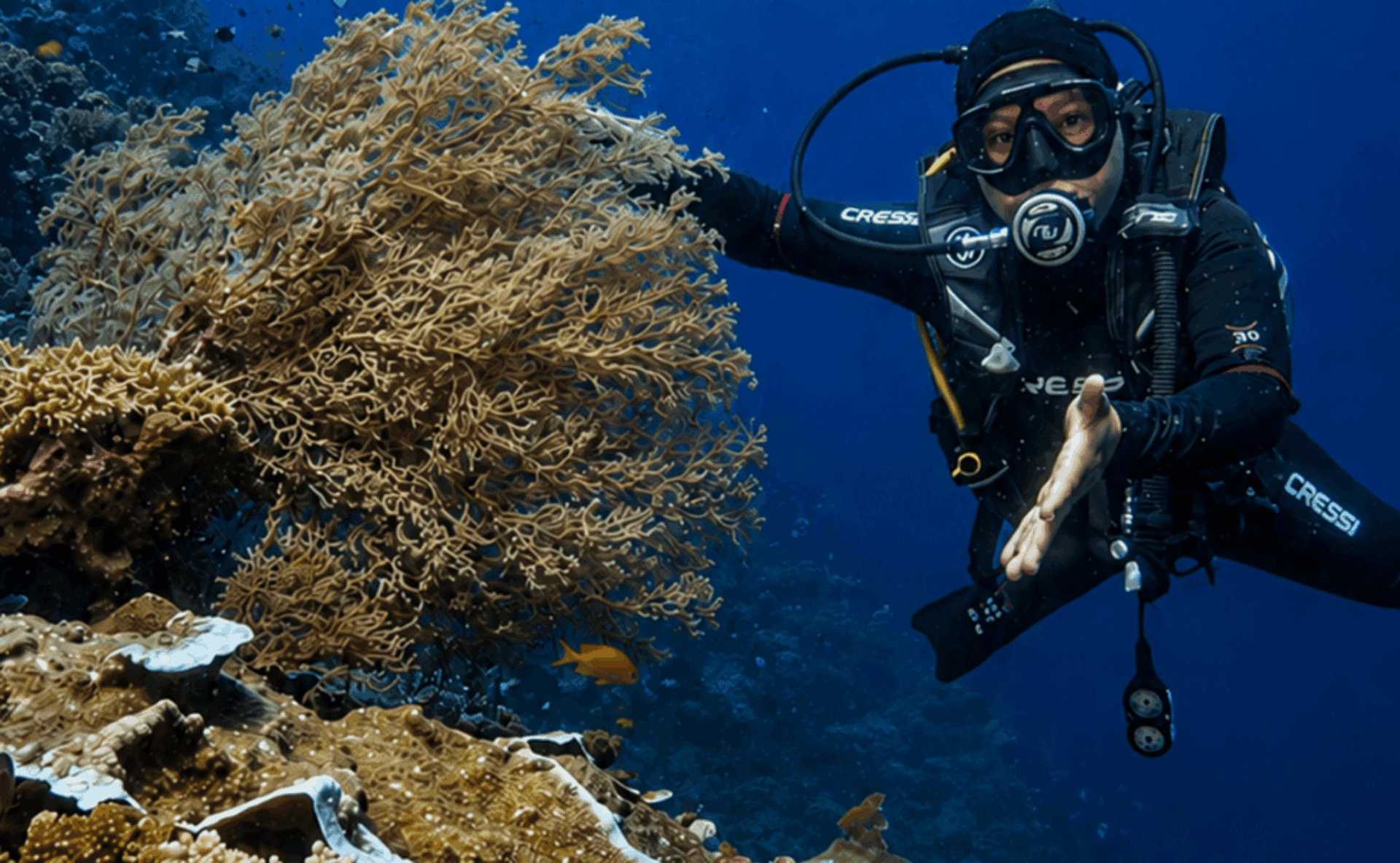 Try-Scuba-Diving-Menjangan