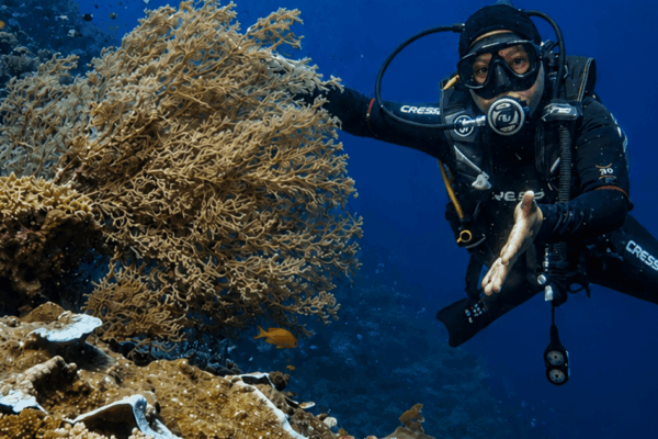 Try-Scuba-Diving-Menjangan