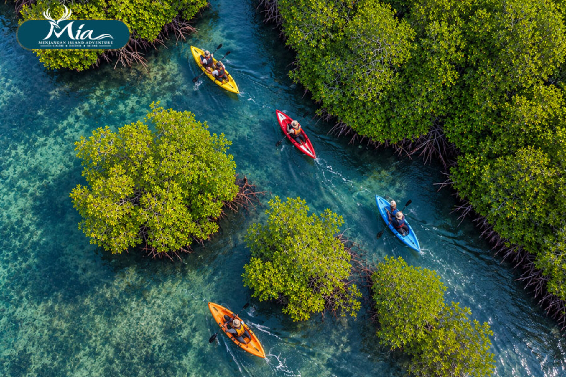 West-Bali-National-Park-Guide