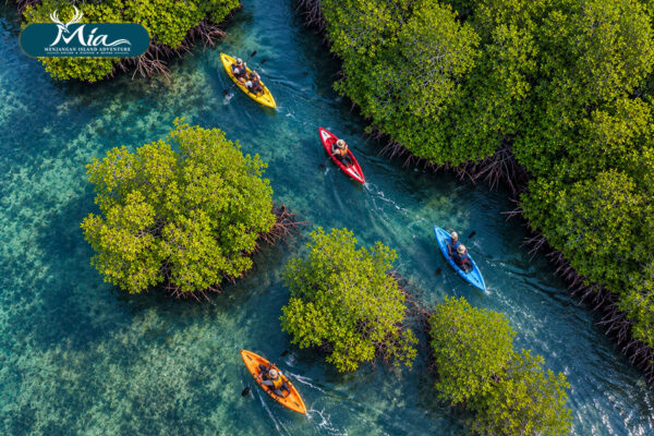West-Bali-National-Park-Guide